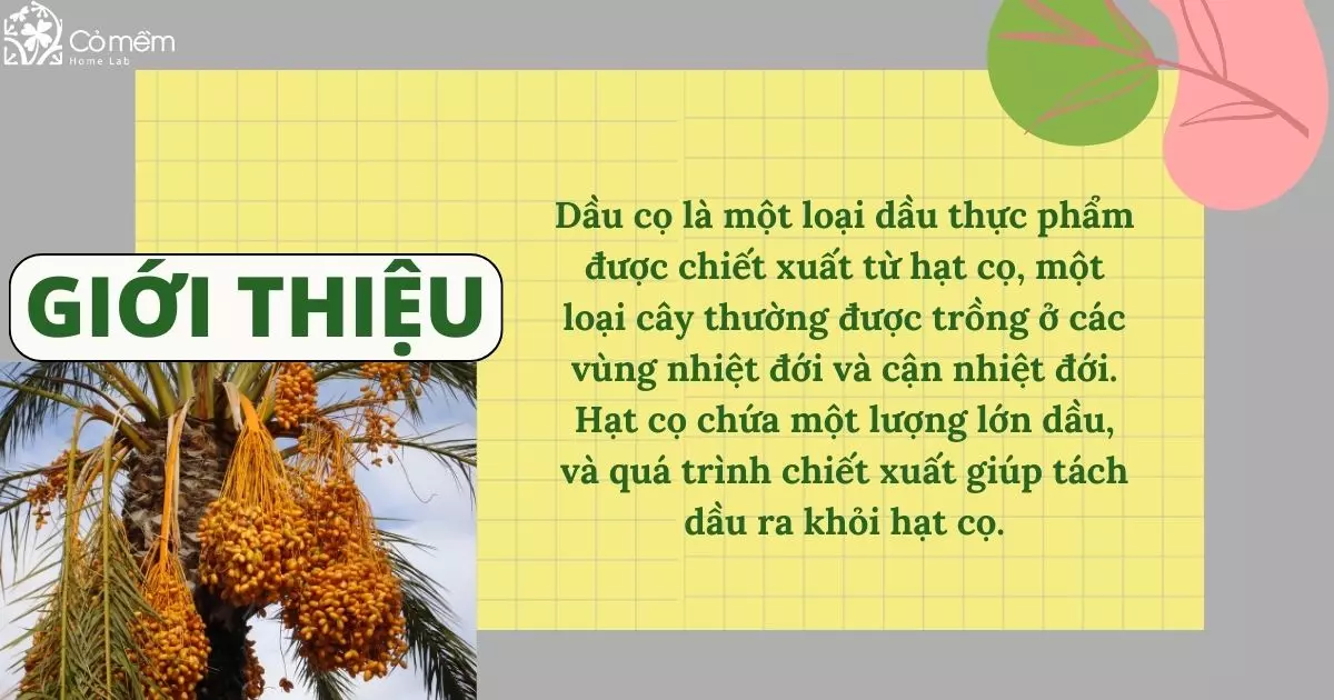 dầu cọ