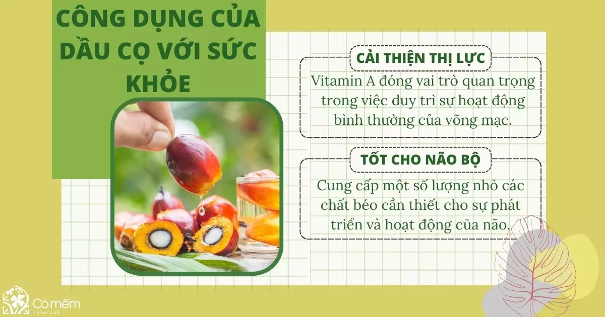 dầu cọ