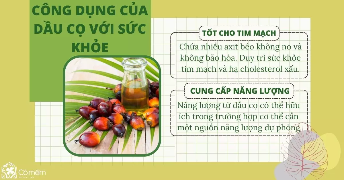 dầu cọ