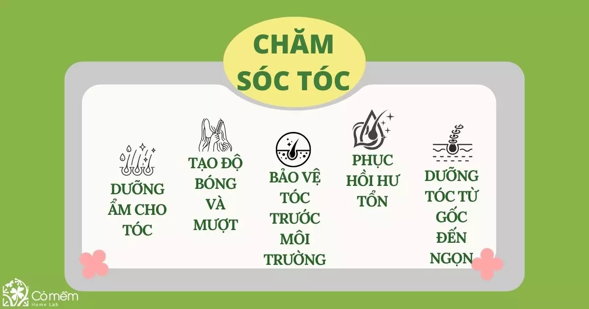 dầu cọ