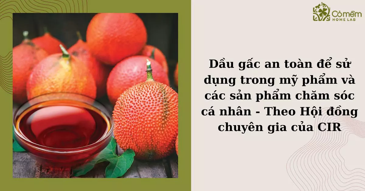 dầu gấc