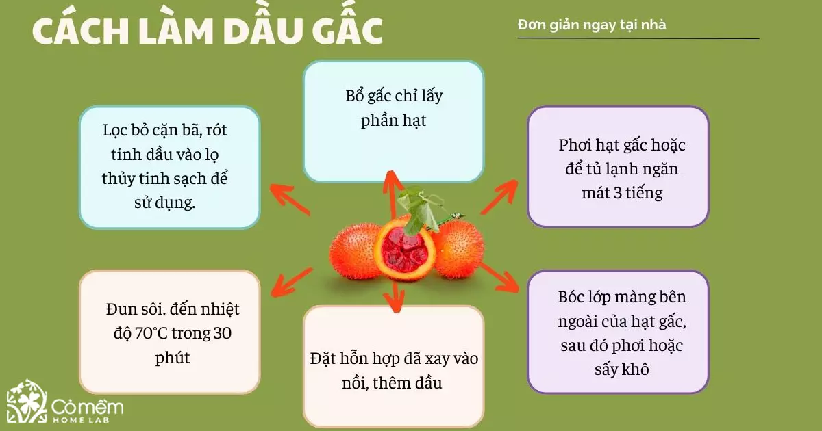 dầu gấc