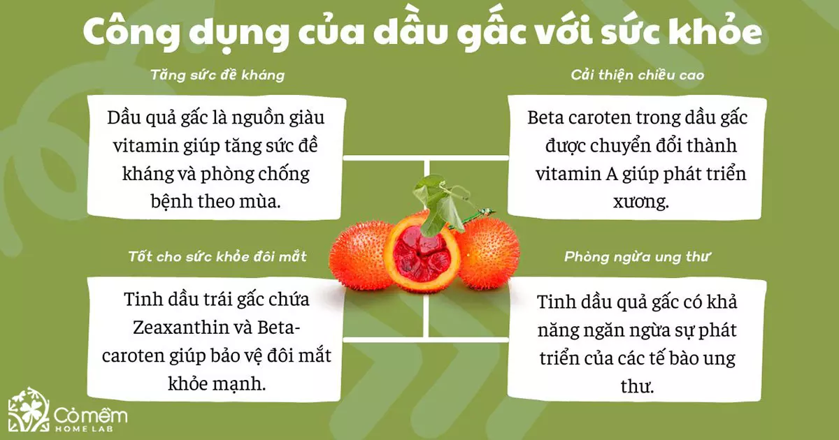 dầu gấc