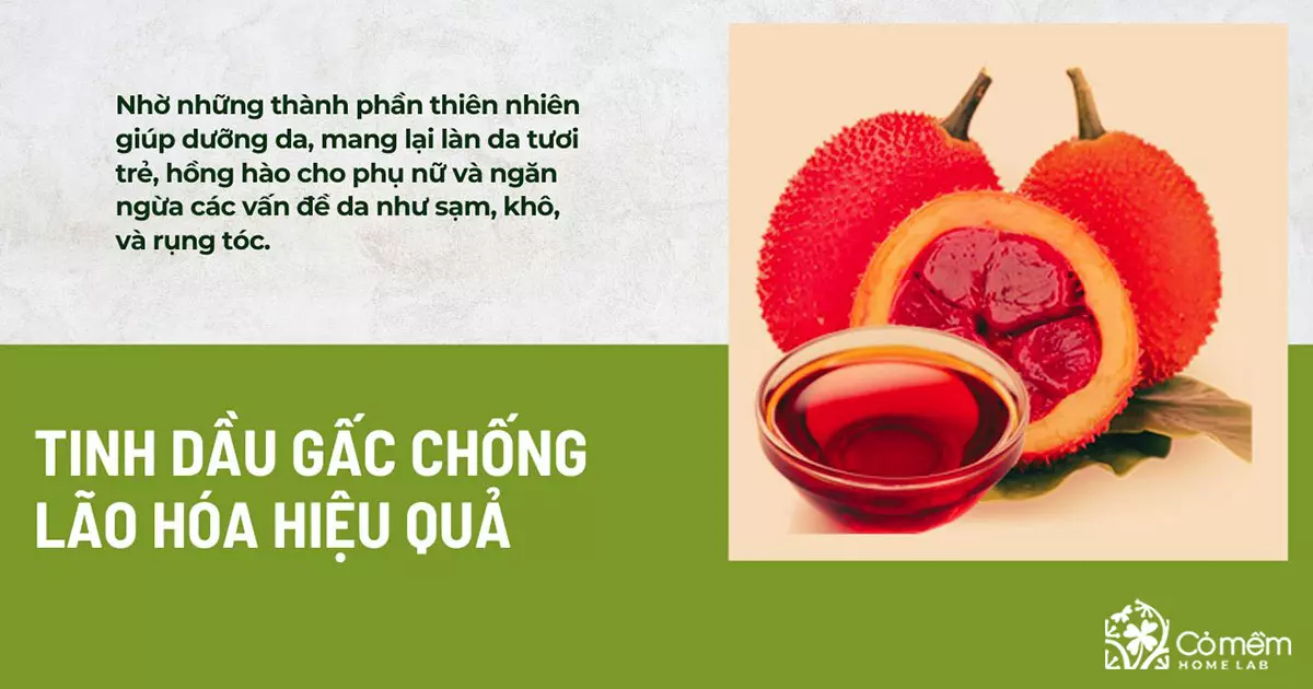 dầu gấc