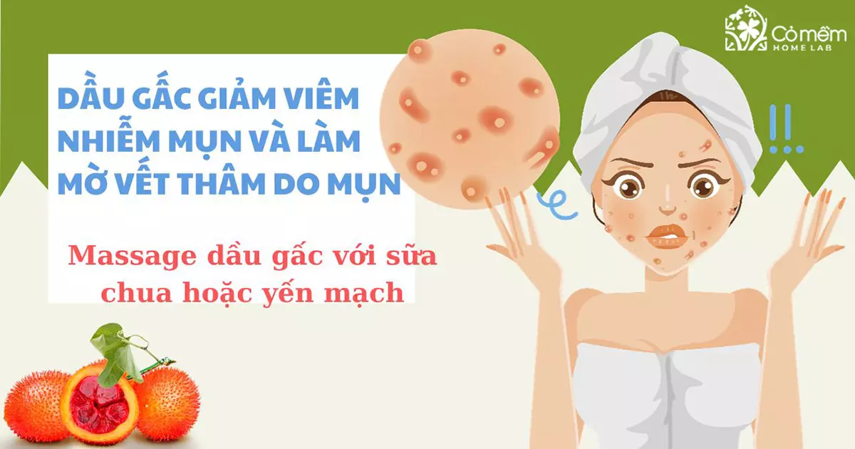 dầu gấc