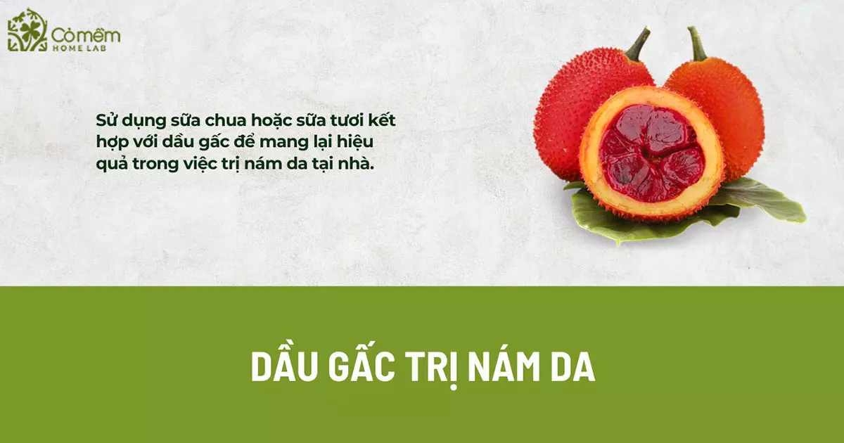 dầu gấc