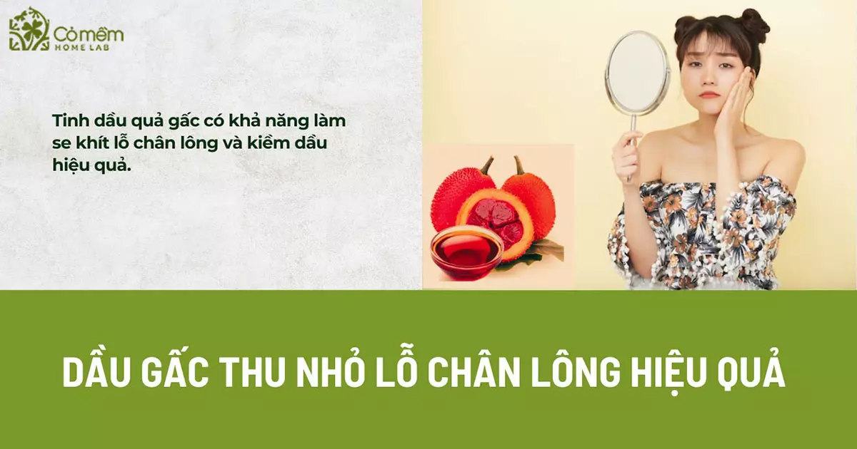 dầu gấc