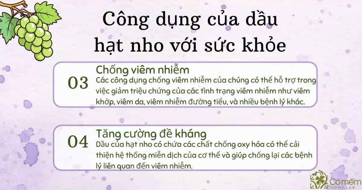 dầu hạt nho