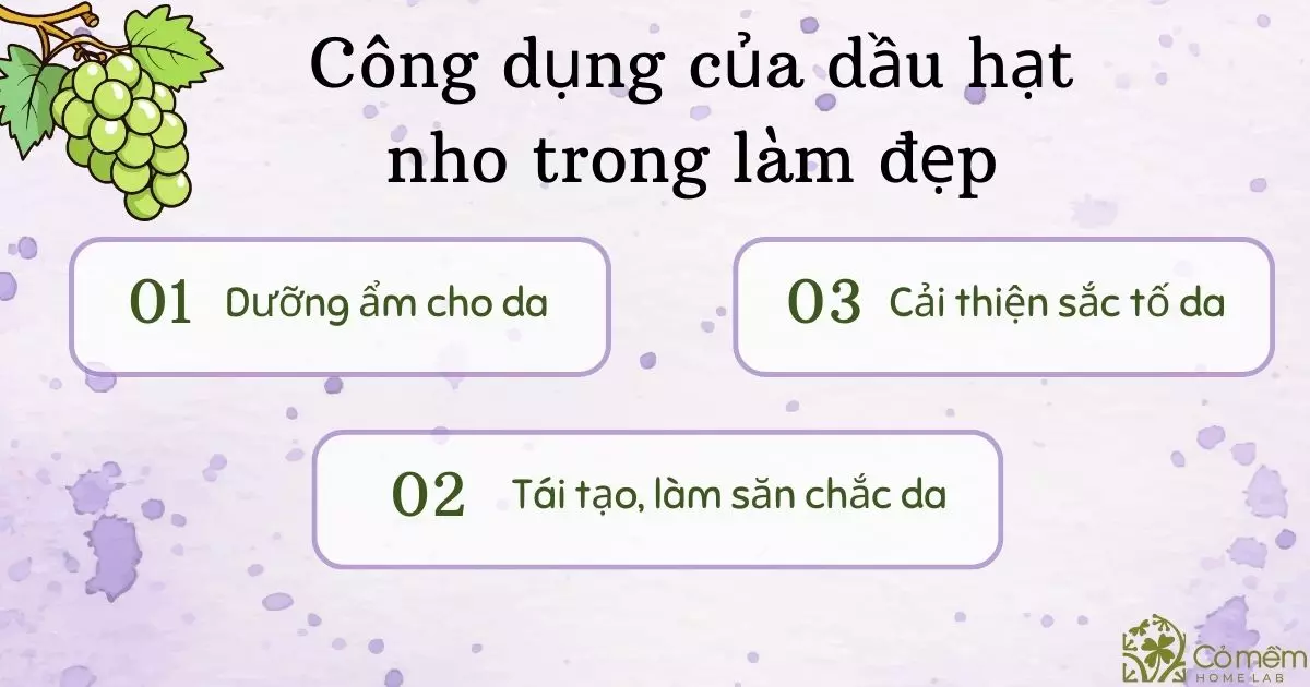 dầu hạt nho