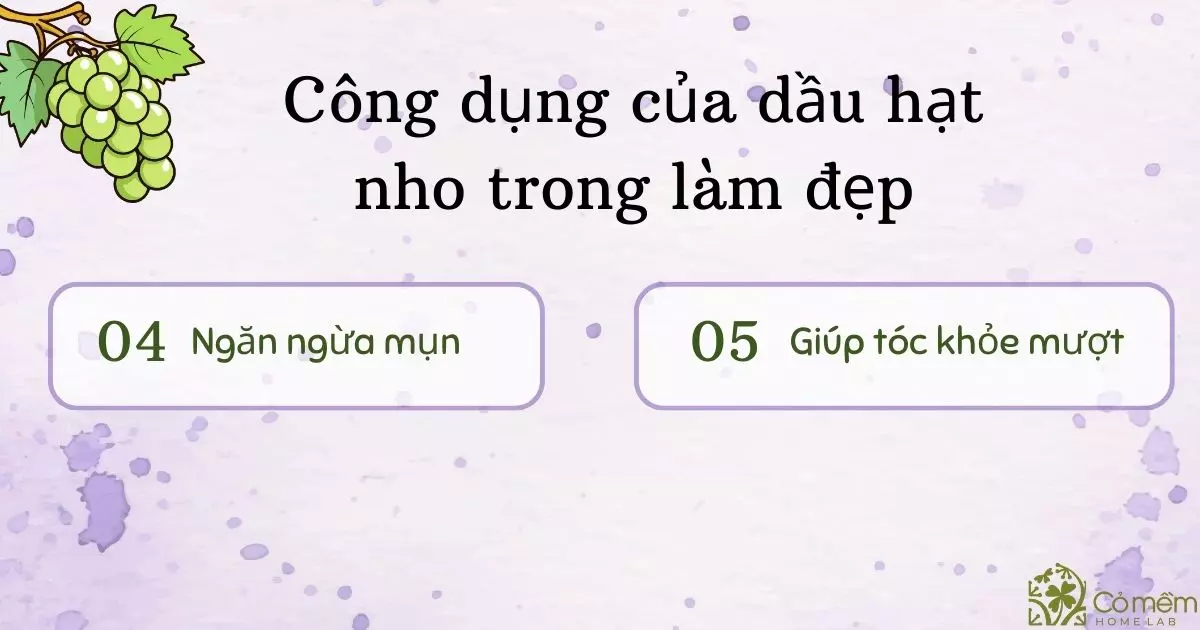 dầu hạt nho