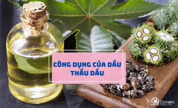 Hé lộ những công dụng của dầu thầu dầu với sức khỏe và làm đẹp