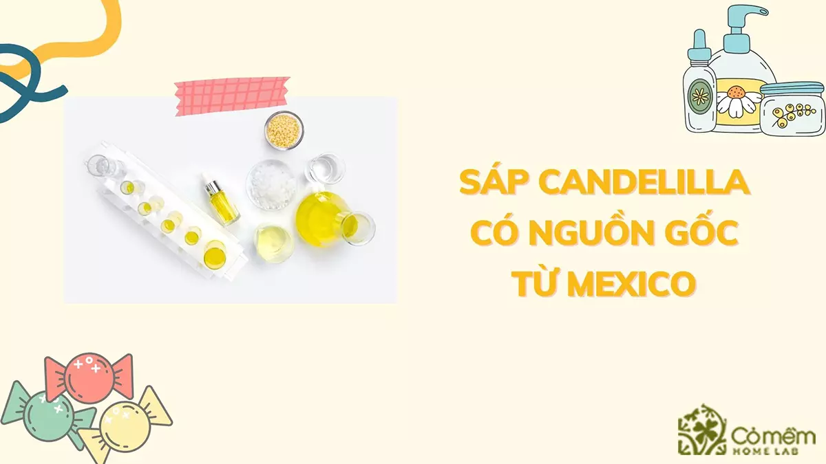 sáp candelilla