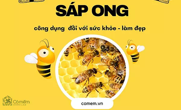 Sáp ong: Những công dụng của sáp ong không phải ai cũng biết