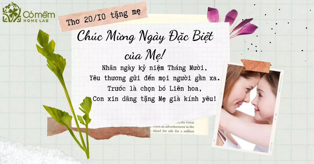 thơ 20/10 tặng mẹ